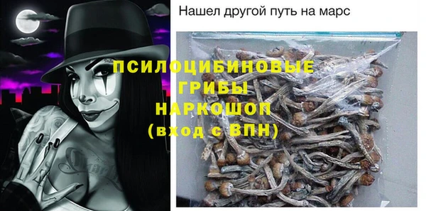 тгк Алексин