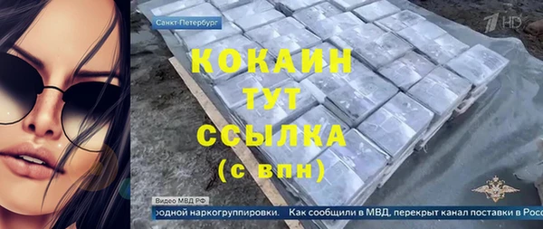 тгк Алексин