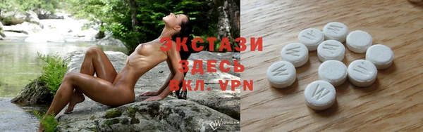 тгк Алексин